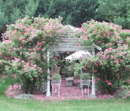 Cameo Rose Victorian Country Inn | A Madison, Wisconsin Area Bed And ...